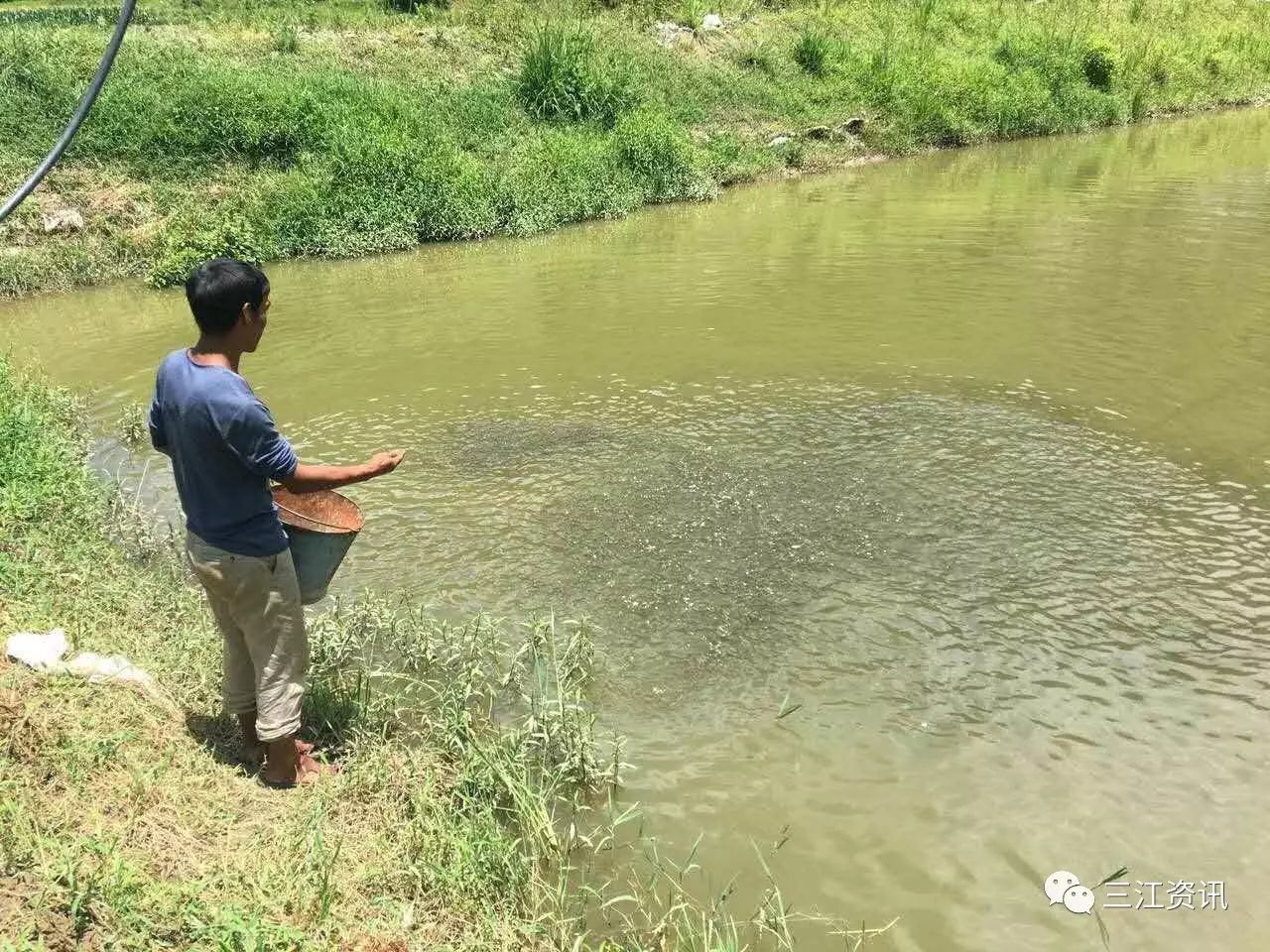 兴泰水产品养殖_泰兴水产养殖致富_泰兴水产公司