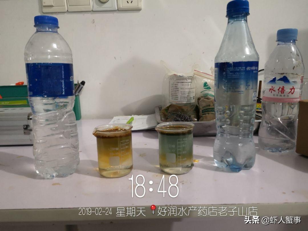 河蟹养殖致富_养殖河蟹的利润_致富养殖河蟹怎么样