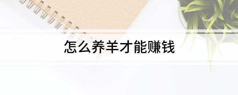 怎么养羊才能赚钱