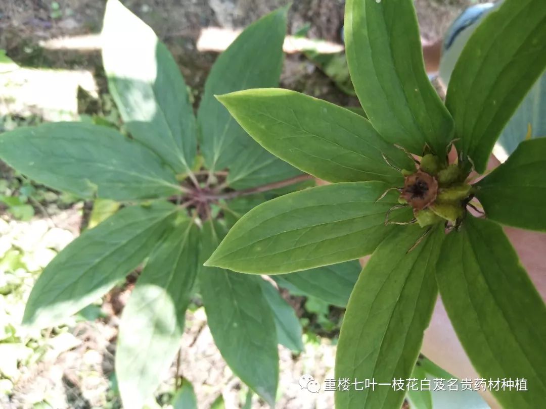 致富宝lbs_致富宝贝种植物_致富宝app