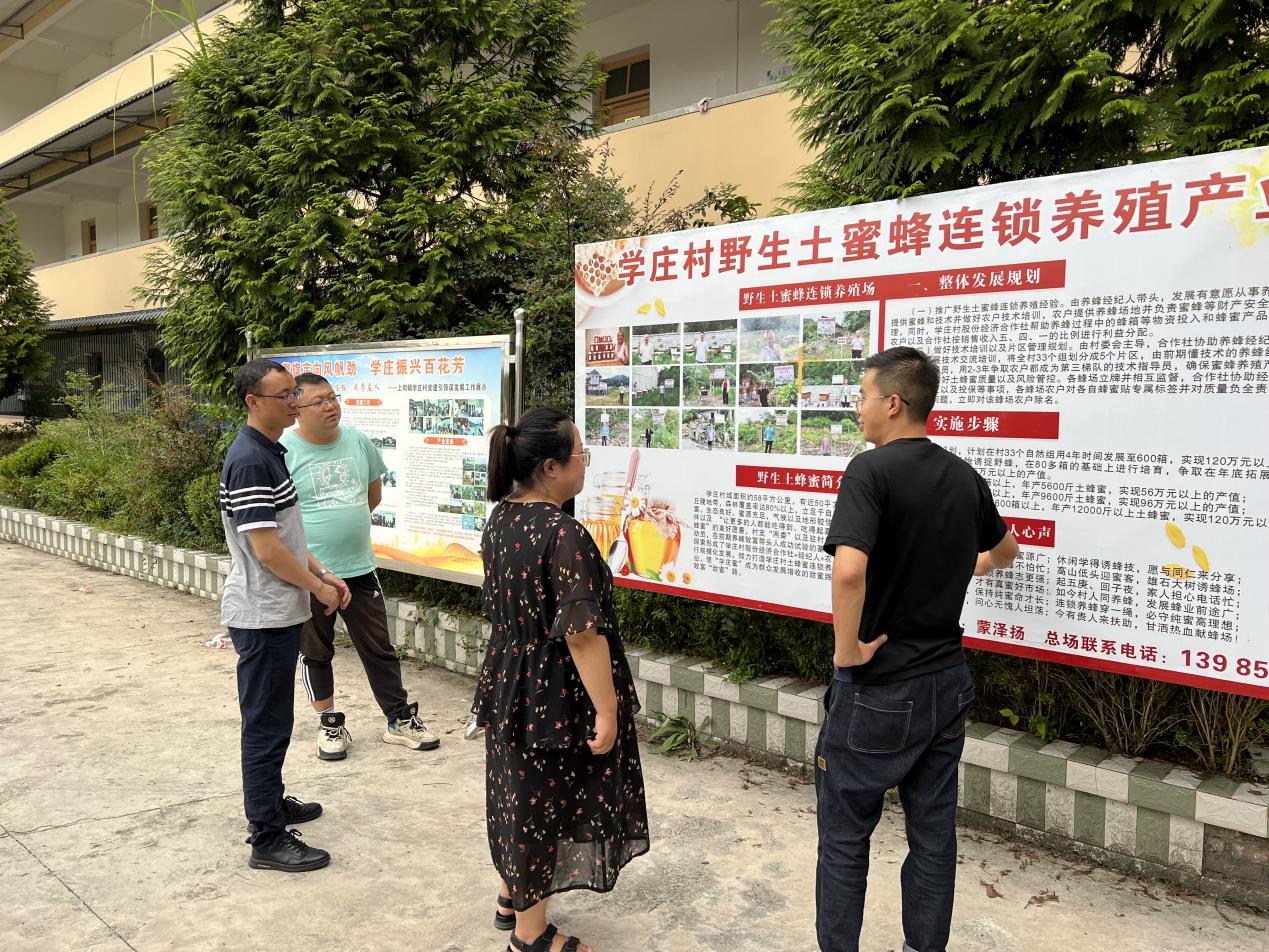 蜜蜂养殖项目_致富经养殖蜜蜂_蜜蜂致富养殖视频
