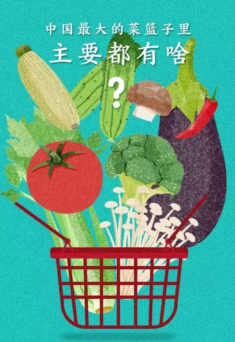 韭黄无土栽培_种植土无技术韭黄怎么处理_无土种植韭黄技术