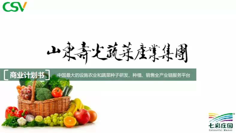 无土种植韭黄技术_种植土无技术韭黄怎么处理_韭黄无土栽培