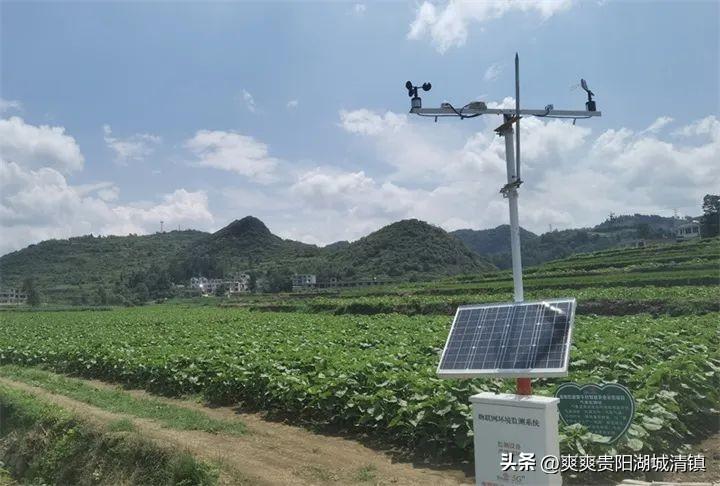 韭黄无土栽培_韭黄无土种植技术视频_无土种植韭黄技术