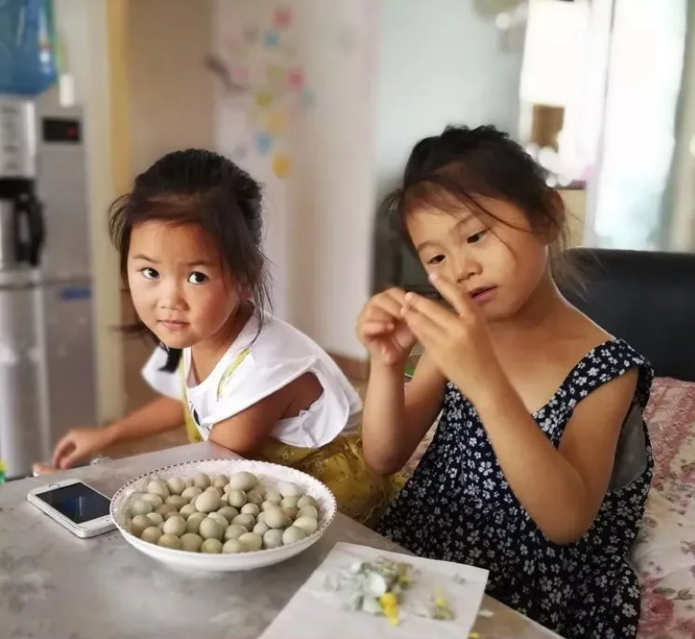 致富项目养鸡_致富鸡养殖技术_养殖鸡致富经视频
