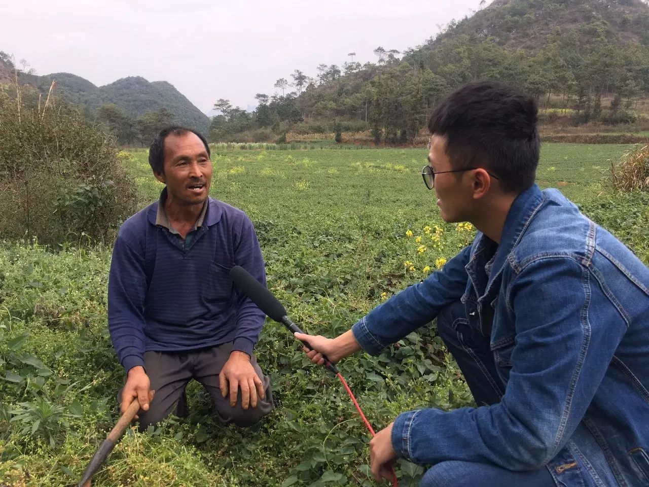种植何首乌致富_种植何首乌成本和利润_致富种植何首乌视频