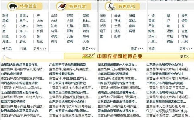 人工养殖蛇技术_人工养殖的蛇_养殖人工蛇技术视频