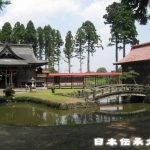 白面狐养殖技术_养殖白狐效益怎么样_养殖白狐狸