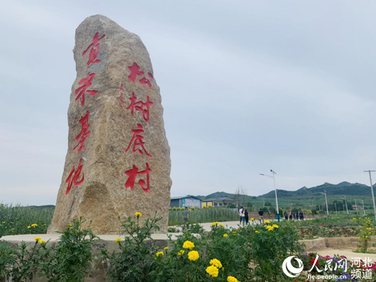 致富养殖承德项目有哪些_承德致富项目养殖_承德养殖业