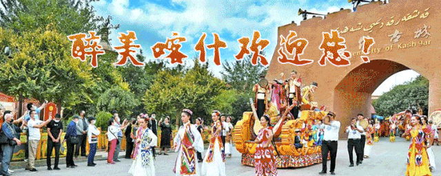 发展大棚蔬菜种植 带动村民增收致富