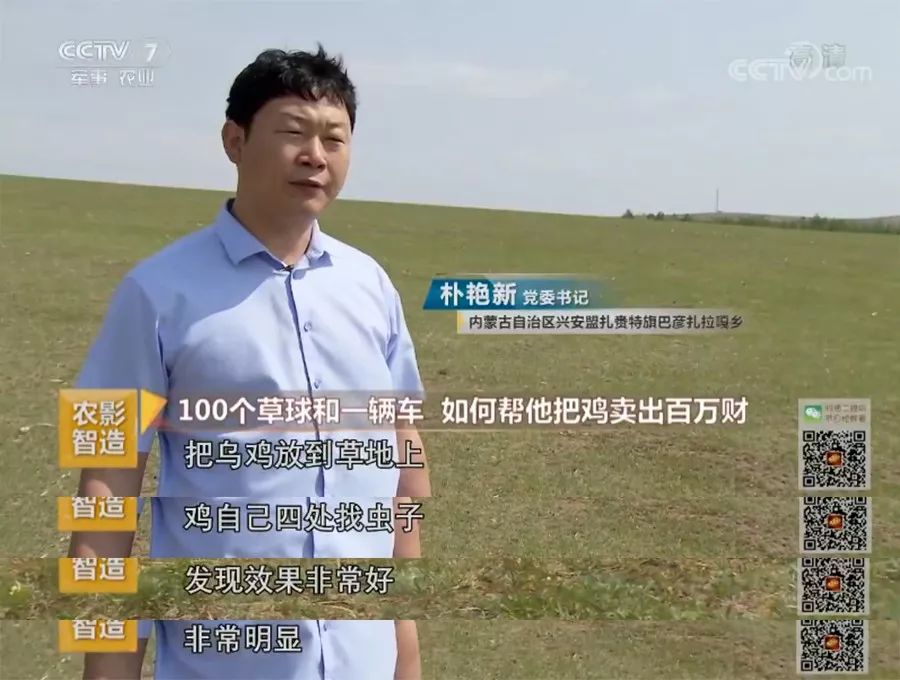 致富经养殖狗_致富经养狗_养狗赚钱致富经