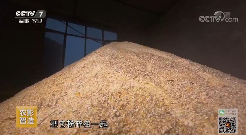致富经养狗_养狗赚钱致富经_致富经养殖狗