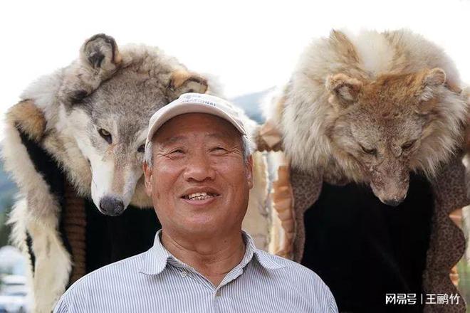 新疆女驯狼师养狼16年，为特种部队培育特种犬产业，获得千万财富