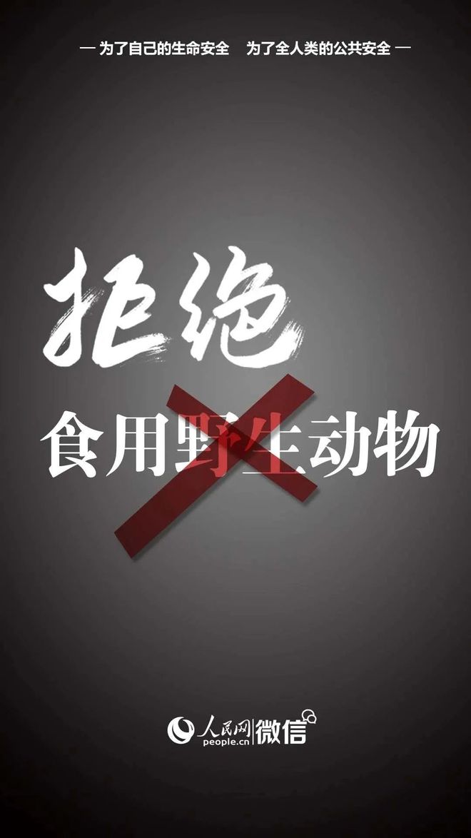 养鹅致富经_致富经鹅养殖业_养殖鹅致富经