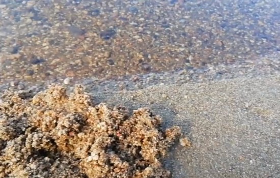 盆栽养花土里可以掺沙子吗