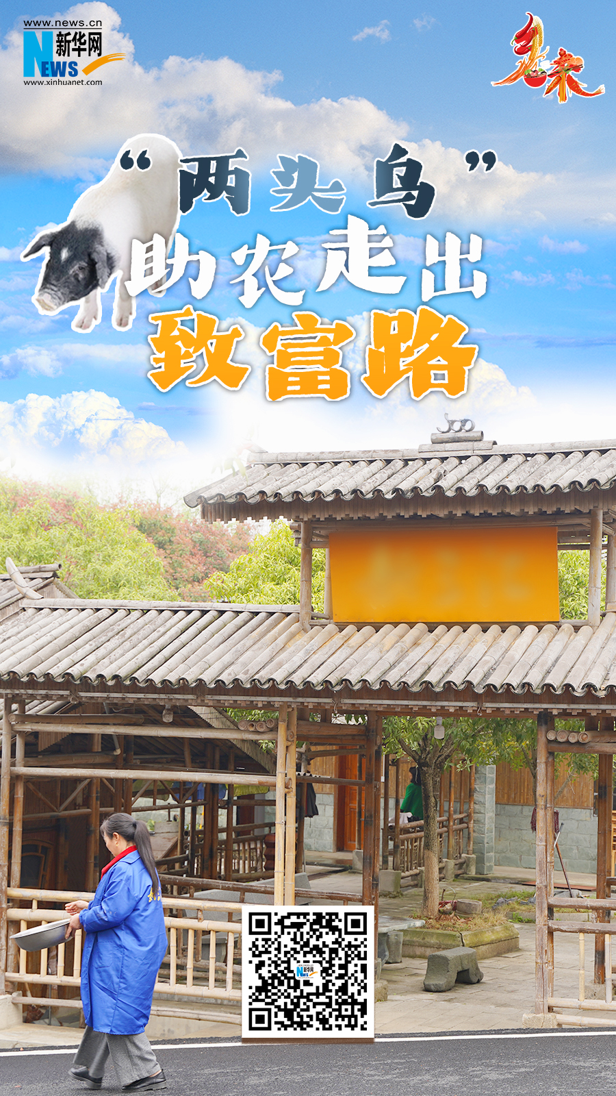 乡味｜湖北通城：“两头乌”助农走出致富路