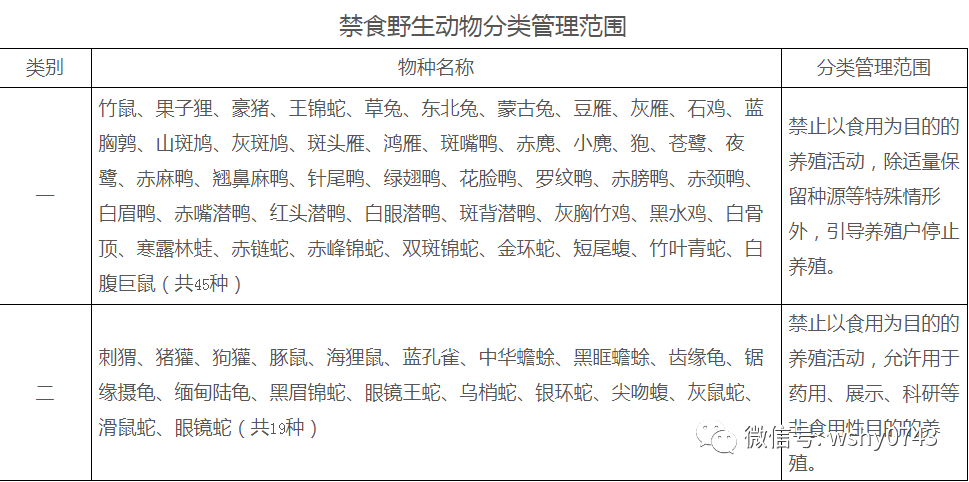 蟾蜍养殖技术网_蟾蜍养殖技术网_蟾蜍养殖技术网