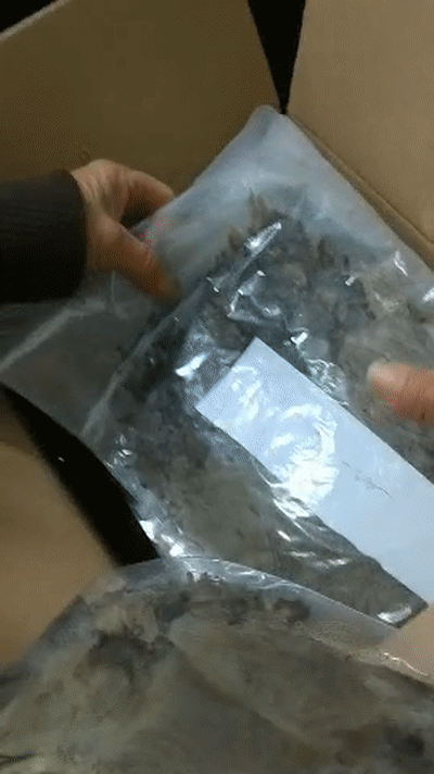 致富养殖蝎子_30万养殖致富_致富养殖场