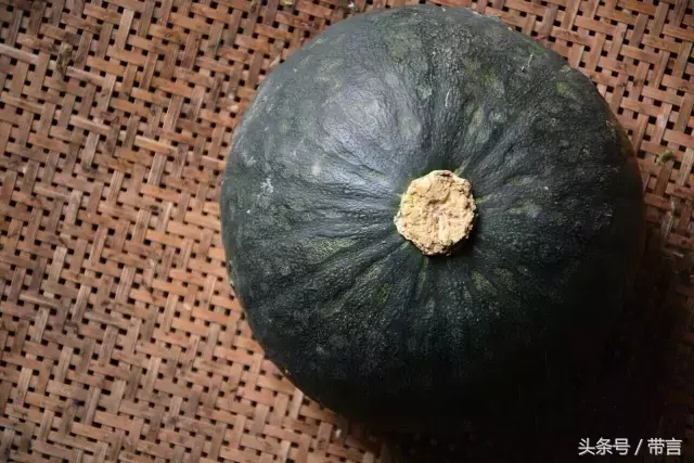 海南南瓜种植技术视频_海南瓜的种植方法_海南种南瓜值钱吗