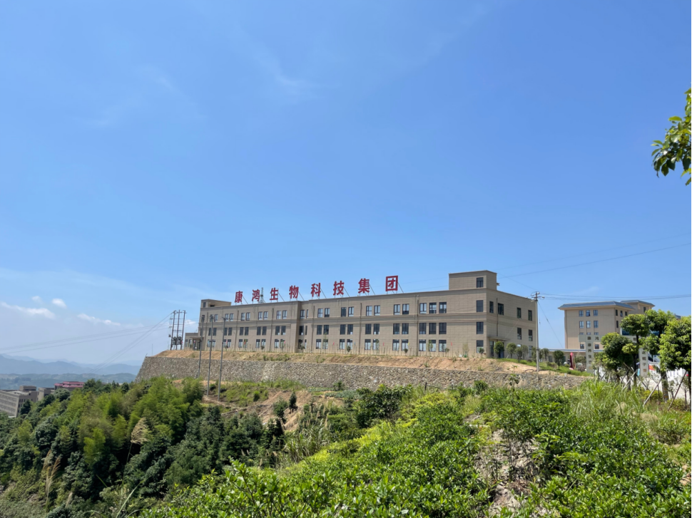 康鸿生物：让栀子花变成乡村致富花