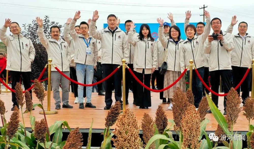 沁县种植致富_致富经种植亩收入过亿_种植致富业