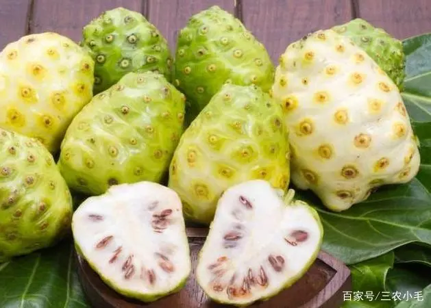 诺尼果的种植技术_诺尼果好吃吗_诺尼果怎么吃