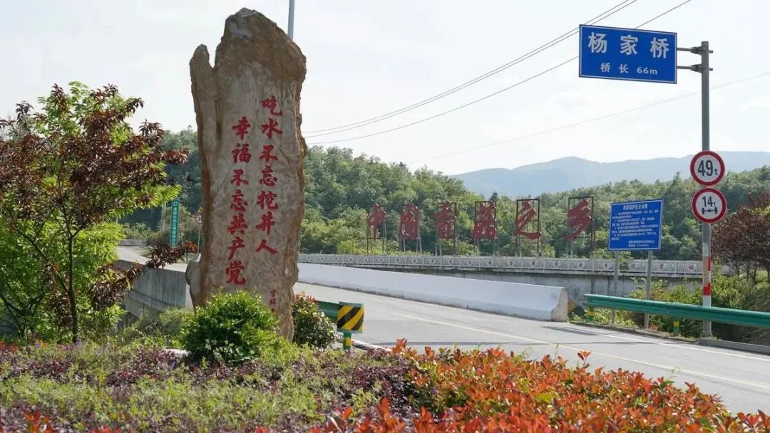 香菇种植效益_致富香菇种植基地在哪_致富经种植香菇