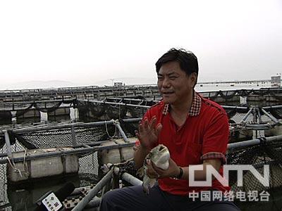 致富养殖河豚鱼技术要求_养殖河豚需要什么条件_河豚鱼养殖技术致富经