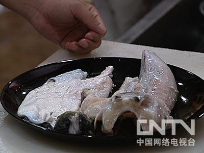 养殖河豚需要什么条件_河豚鱼养殖技术致富经_致富养殖河豚鱼技术要求