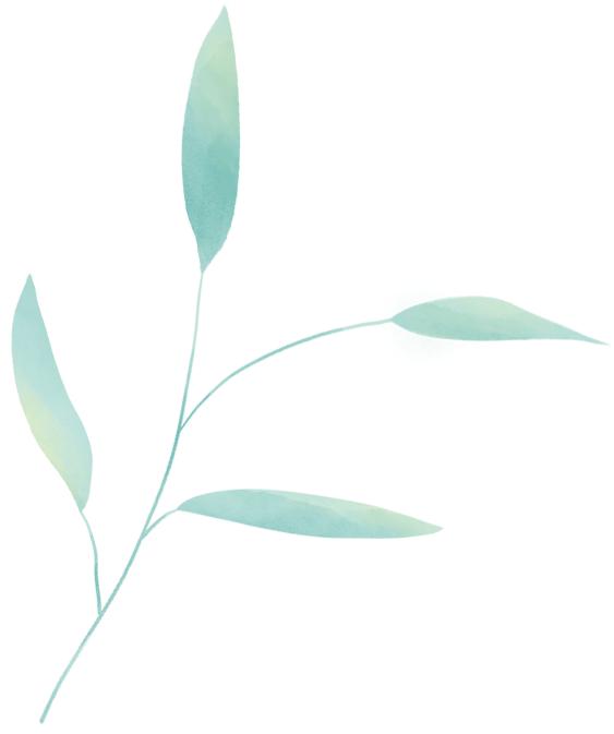 深海种植致富菜_海上种植蔬菜_海上种植