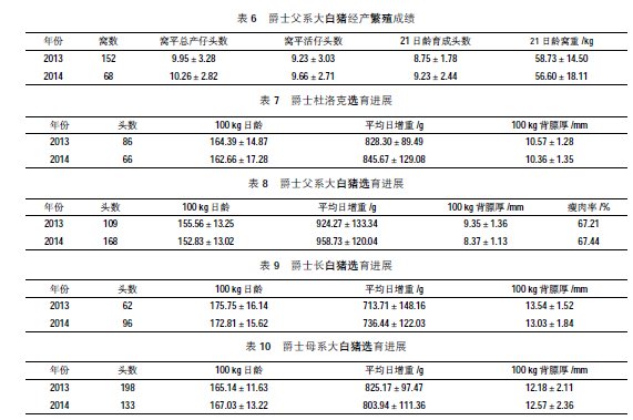 致富经猪养殖_猪养殖致富案例_养猪致富技术