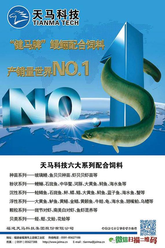 鲶鱼的网箱养殖技术_养殖鲶鱼网箱技术规范_养殖鲶鱼网箱技术要求
