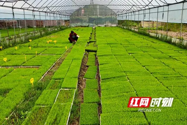 居家小养殖致富_致富居家养殖小说全文_居家养殖业