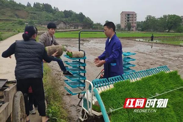 致富居家养殖小说全文_居家小养殖致富_居家养殖业