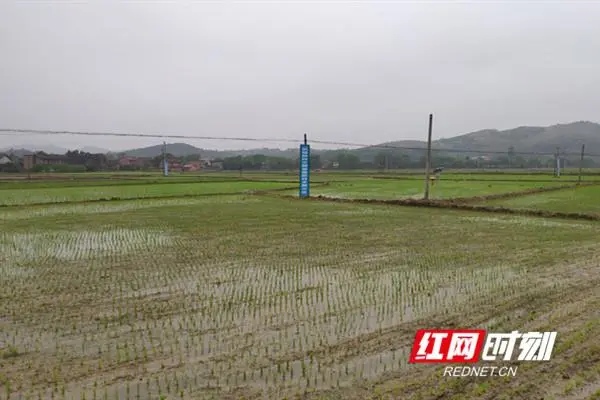居家养殖业_致富居家养殖小说全文_居家小养殖致富