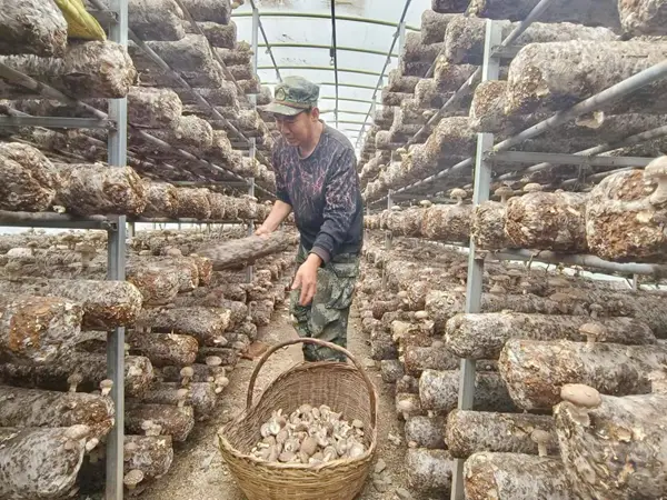 致富经废料利用回收_致富经 废料利用_废品致富