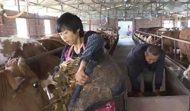 致富经牛肉深加工_致富牛肉加工厂电话_致富牛肉加工厂地址