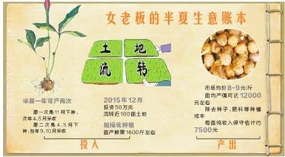 致富经瓜蒌种植视频_致富种植农村瓜蒌怎么样_农村致富种植瓜蒌