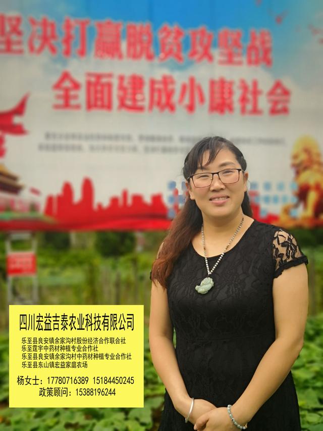 致富经瓜蒌种植视频_致富种植农村瓜蒌怎么样_农村致富种植瓜蒌
