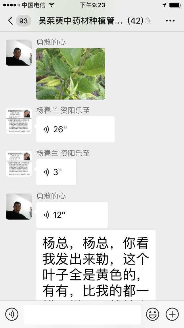 致富种植农村瓜蒌怎么样_致富经瓜蒌种植视频_农村致富种植瓜蒌