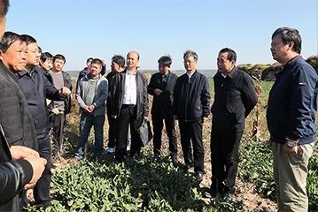 致富药材种植_农场种植致富中药_药材种植业致富项目