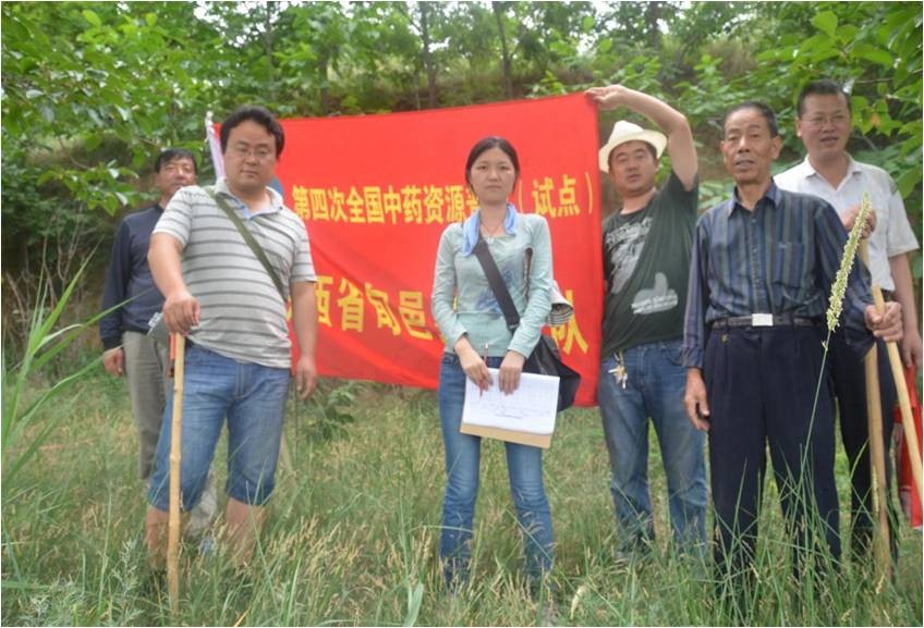 致富药材种植_农场种植致富中药_药材种植业致富项目