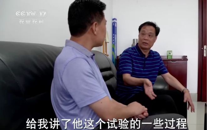 养殖蟑螂致富新闻_养殖蟑螂的销路_养蟑螂发家致富