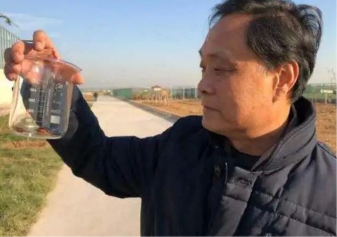 养殖蟑螂致富新闻_养蟑螂发家致富_养殖蟑螂的销路