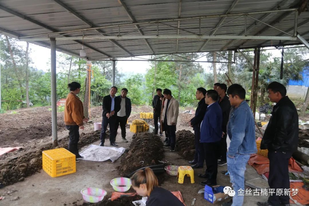养殖蚯蚓农业技术规程_养殖蚯蚓新技术_农业蚯蚓养殖技术