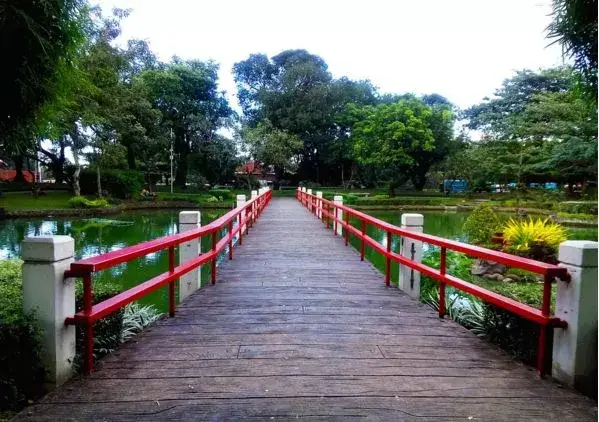 盆景苹果怎么种植技术_盆景苹果树栽培技术_苹果盆景怎么种植
