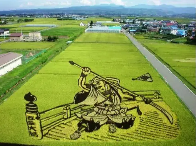 盆景苹果树栽培技术_盆景苹果怎么种植技术_苹果盆景怎么种植
