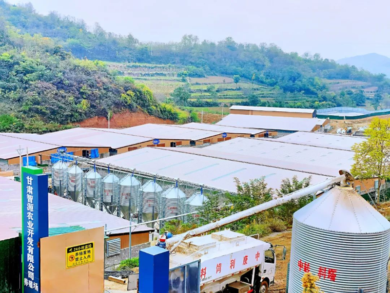 中蜂大规模养殖技术_科技苑中蜂养殖视频_怎样养殖意蜂和繁殖技术呢