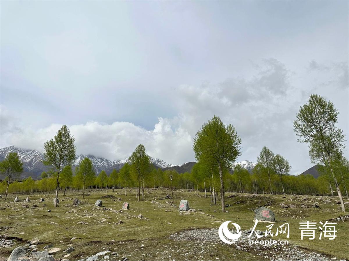 致富经2021年1月_2020年致富_致富经2021年2月