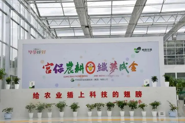 织金竹荪种植技术_致富经织金竹荪种植_织金县竹荪多少钱一斤